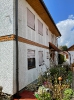 Bilder_81